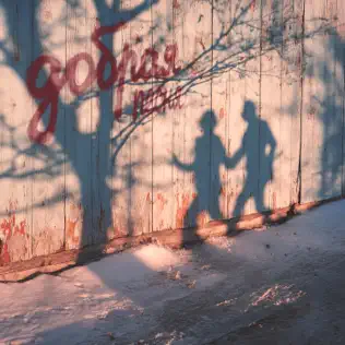 Обложка трека "Добрая песня - NANSI & SIDOROV"