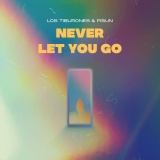 LOS TIBURONES - Never Let You Go