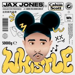 Обложка трека "Whistle - Jax JONES"