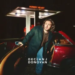 Обложка трека "Hungry Heart - Declan J DONOVAN"
